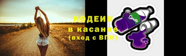 ГАЛЛЮЦИНОГЕННЫЕ ГРИБЫ Балахна