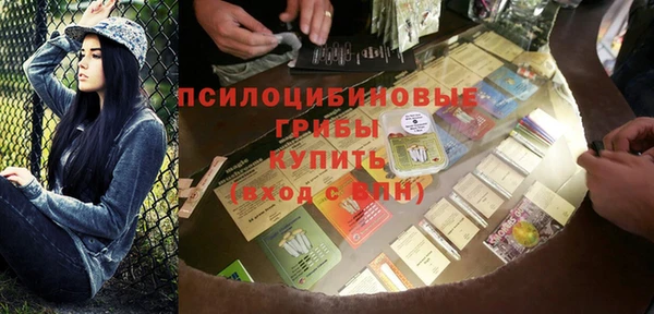 ГАЛЛЮЦИНОГЕННЫЕ ГРИБЫ Балахна
